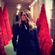 Image for article titled A Man Coughed Up Melania's Christmas Tree